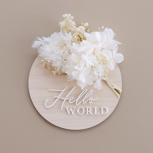 Ollie and Echo | Hello World Announcement Disc