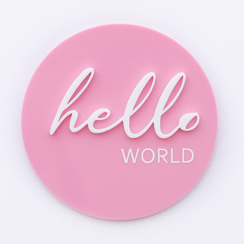 Ollie and Echo |  Hello World Announcement Disc Pink