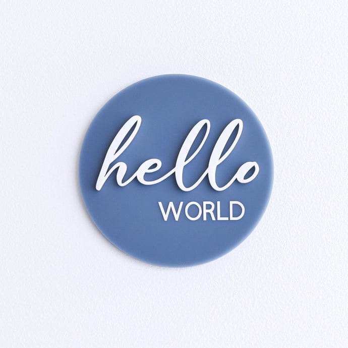 Ollie and Echo | Hello World Announcement Disc Blue