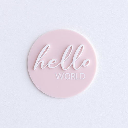 Ollie and Echo | Hello World Announcement Disc Pink