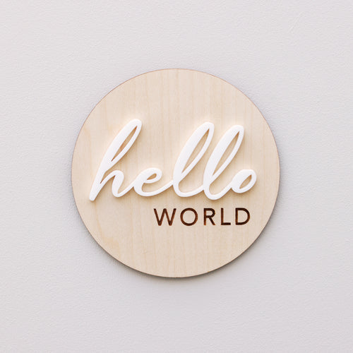 Ollie and Echo | Hello World Announcement Disc