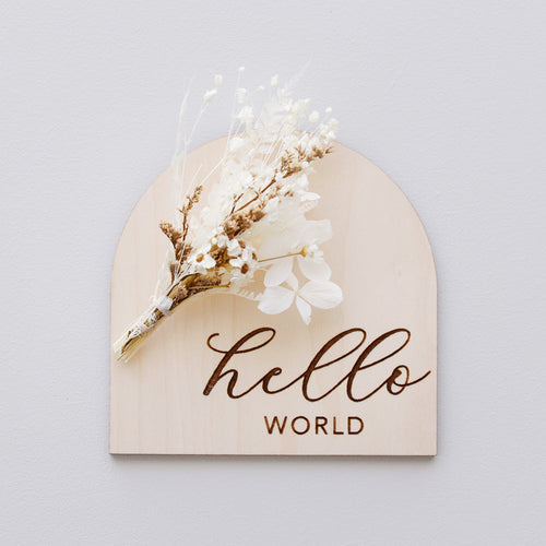 Ollie and Echo | Hello World Floral Arch Plaque